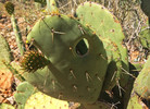 photo thumbnail #12