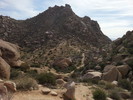photo thumbnail #10