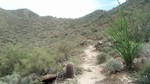 photo thumbnail #4