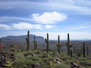 photo thumbnail #6