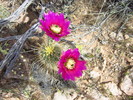 photo thumbnail #7