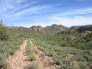 photo thumbnail #10