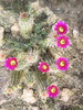 photo thumbnail #13