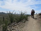 photo thumbnail #3