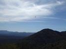 photo thumbnail #11