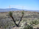 photo thumbnail #2