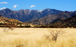 photo thumbnail #2