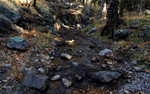 photo thumbnail #8
