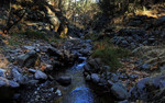 photo thumbnail #9