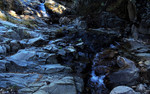photo thumbnail #10