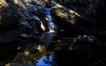 photo thumbnail #11
