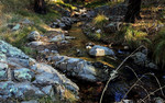 photo thumbnail #13