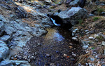 photo thumbnail #14