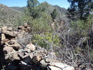 photo thumbnail #11