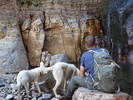 photo thumbnail #14