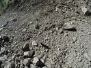 photo thumbnail #13