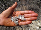 photo thumbnail #13