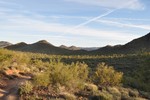 photo thumbnail #7