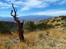 photo thumbnail #5