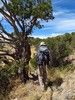 photo thumbnail #6