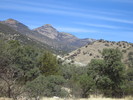 photo thumbnail #9