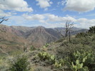 photo thumbnail #3