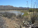 photo thumbnail #12