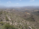 photo thumbnail #7