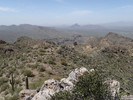 photo thumbnail #12