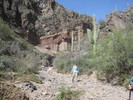 photo thumbnail #8