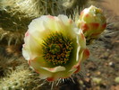 photo thumbnail #4