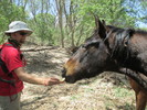 photo thumbnail #5