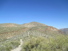 photo thumbnail #8