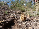 photo thumbnail #4