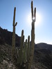 photo thumbnail #7