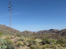 photo thumbnail #9