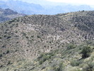 photo thumbnail #13