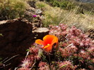 photo thumbnail #1