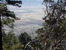 photo thumbnail #5