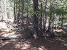 photo thumbnail #9