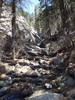 photo thumbnail #13