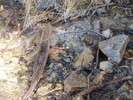 photo thumbnail #14