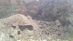 photo thumbnail #12