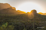 photo thumbnail #1