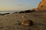 photo thumbnail #12