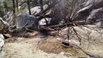 photo thumbnail #12
