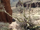 photo thumbnail #8