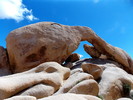 photo thumbnail #15
