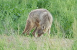 photo thumbnail #10