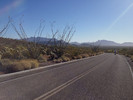 photo thumbnail #6